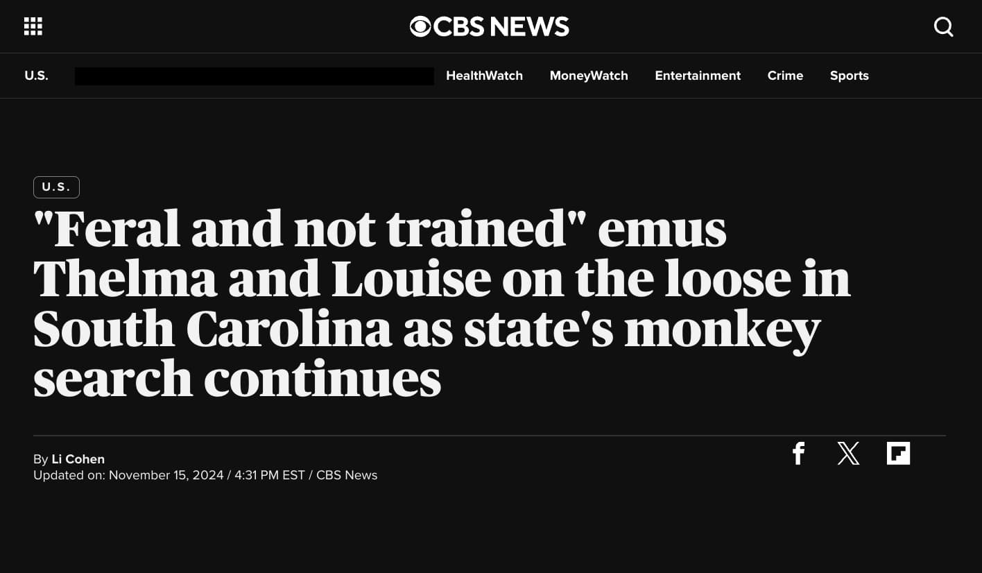 screenshot - U.S. Ocbs News HealthWatch MoneyWatch Entertainment Crime Sports U.S. "Feral and not trained" emus Thelma and Louise on the loose in South Carolina as state's monkey search continues By Li Cohen Updated on Est Cbs News f X